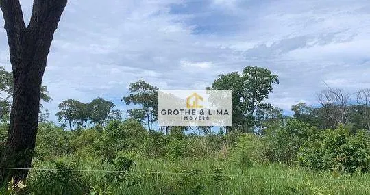 Fazenda à venda de 968 ha em Ribas do Rio Pardo, MS, Brasil