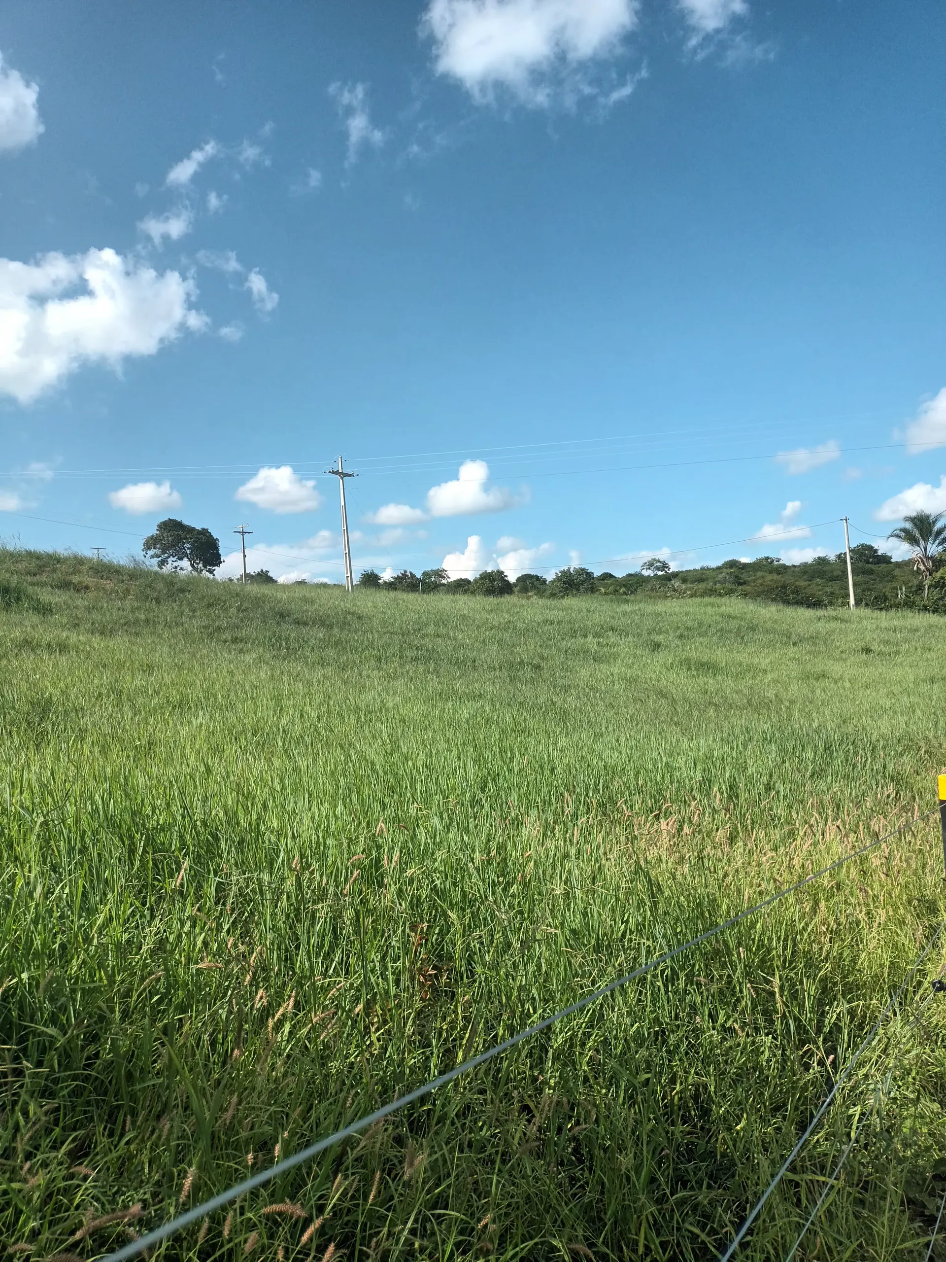 Fazenda à venda de 102 ha em Vitória da Conquista, BA, Brasil
