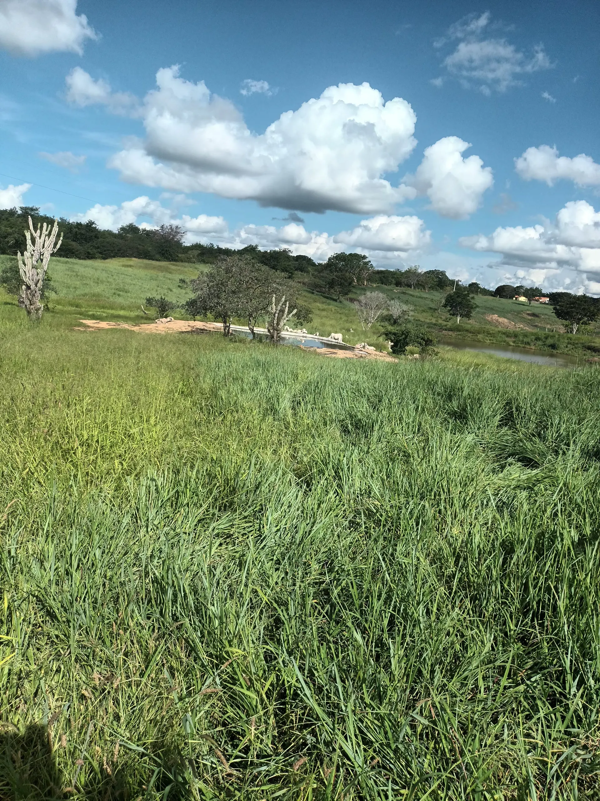 Fazenda à venda de 102 ha em Vitória da Conquista, BA, Brasil
