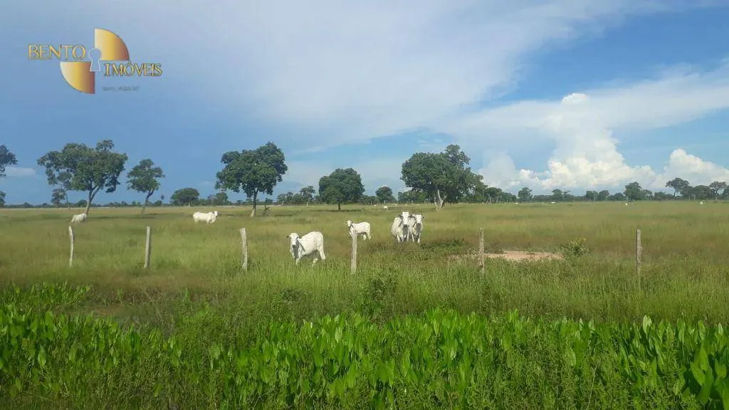 Fazenda à venda de 16.438 ha em Poconé, MT, Brasil