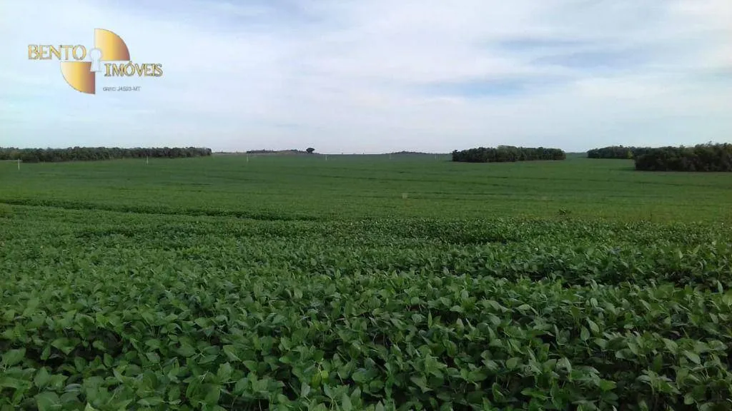 Fazenda à venda de 2.040 ha em Ribeirão Cascalheira, MT, Brasil