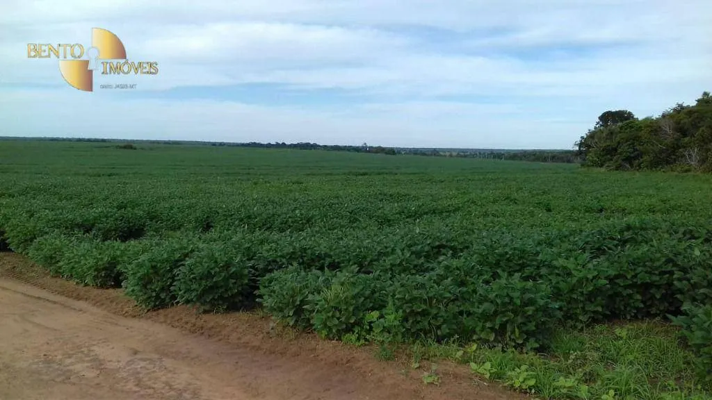 Fazenda à venda de 2.040 ha em Ribeirão Cascalheira, MT, Brasil