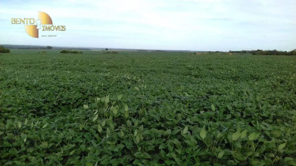 Fazenda à venda de 2.040 ha em Ribeirão Cascalheira, MT, Brasil