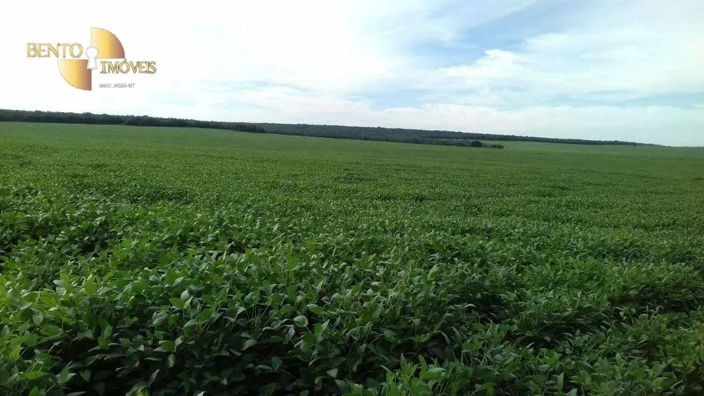 Fazenda à venda de 2.040 ha em Ribeirão Cascalheira, MT, Brasil