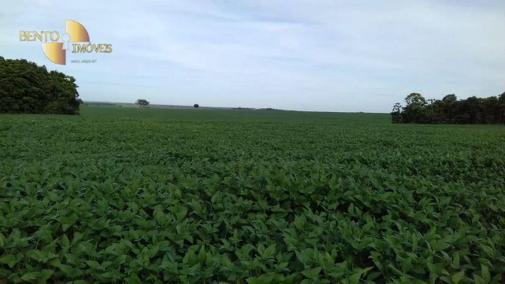 Fazenda à venda de 2.040 ha em Ribeirão Cascalheira, MT, Brasil