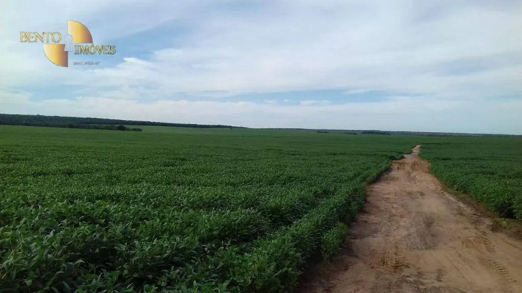 Fazenda à venda de 2.040 ha em Ribeirão Cascalheira, MT, Brasil