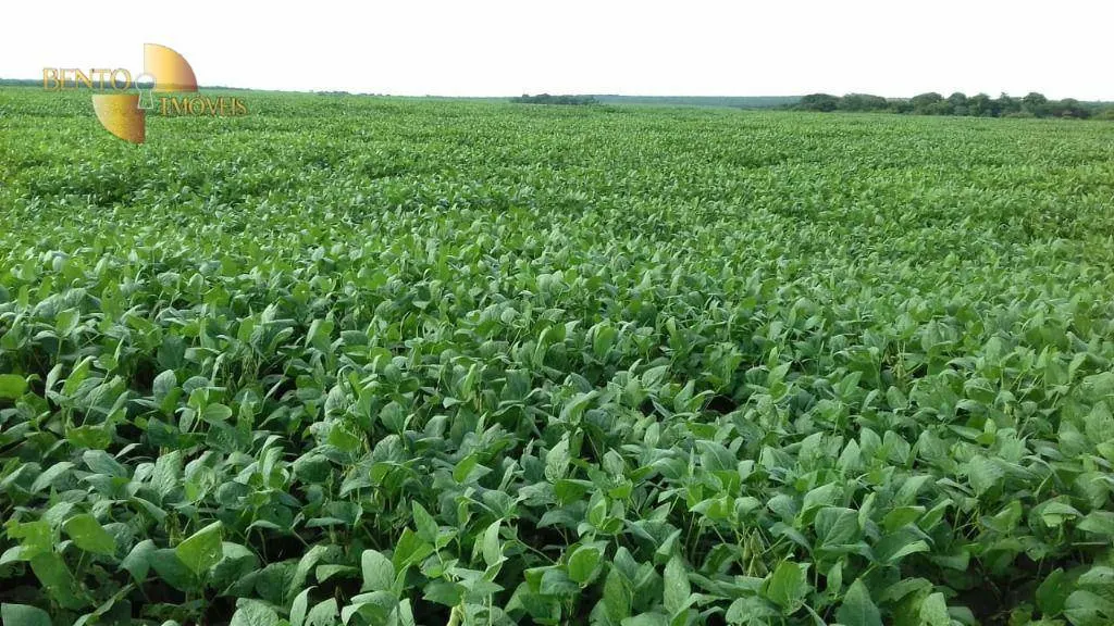 Fazenda à venda de 2.040 ha em Ribeirão Cascalheira, MT, Brasil