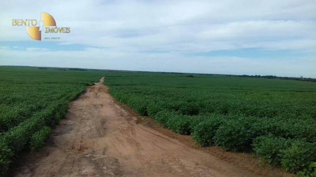 Fazenda à venda de 2.040 ha em Ribeirão Cascalheira, MT, Brasil