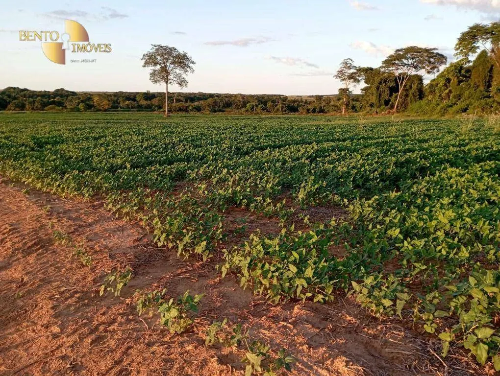 Fazenda à venda de 2.040 ha em Ribeirão Cascalheira, MT, Brasil