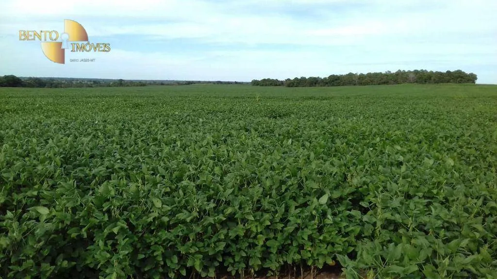 Fazenda à venda de 2.040 ha em Ribeirão Cascalheira, MT, Brasil
