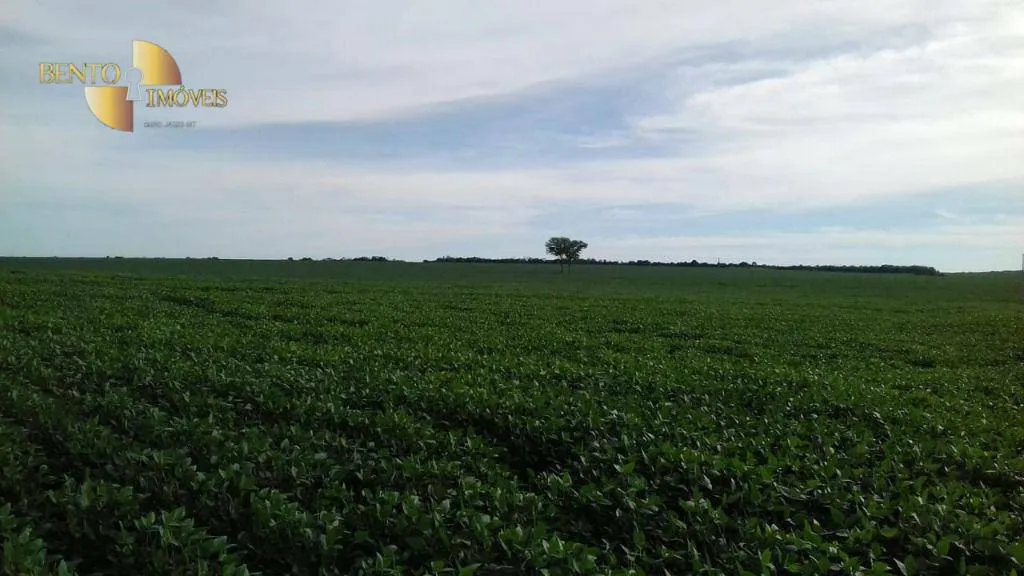 Fazenda à venda de 2.040 ha em Ribeirão Cascalheira, MT, Brasil