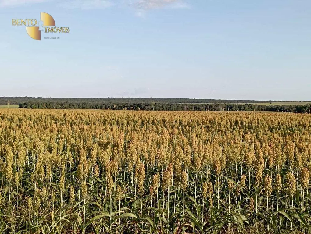 Fazenda à venda de 2.040 ha em Ribeirão Cascalheira, MT, Brasil