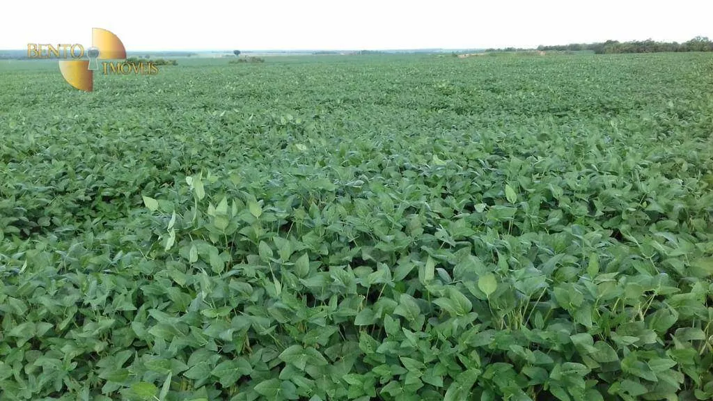 Fazenda à venda de 2.040 ha em Ribeirão Cascalheira, MT, Brasil