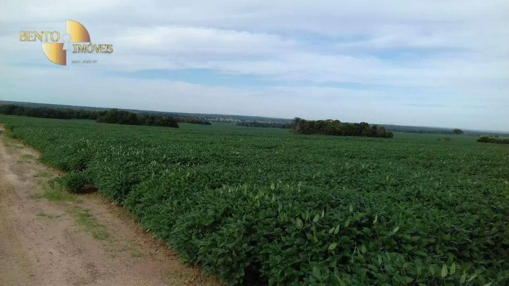 Fazenda à venda de 2.040 ha em Ribeirão Cascalheira, MT, Brasil