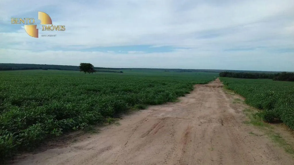 Fazenda à venda de 2.040 ha em Ribeirão Cascalheira, MT, Brasil