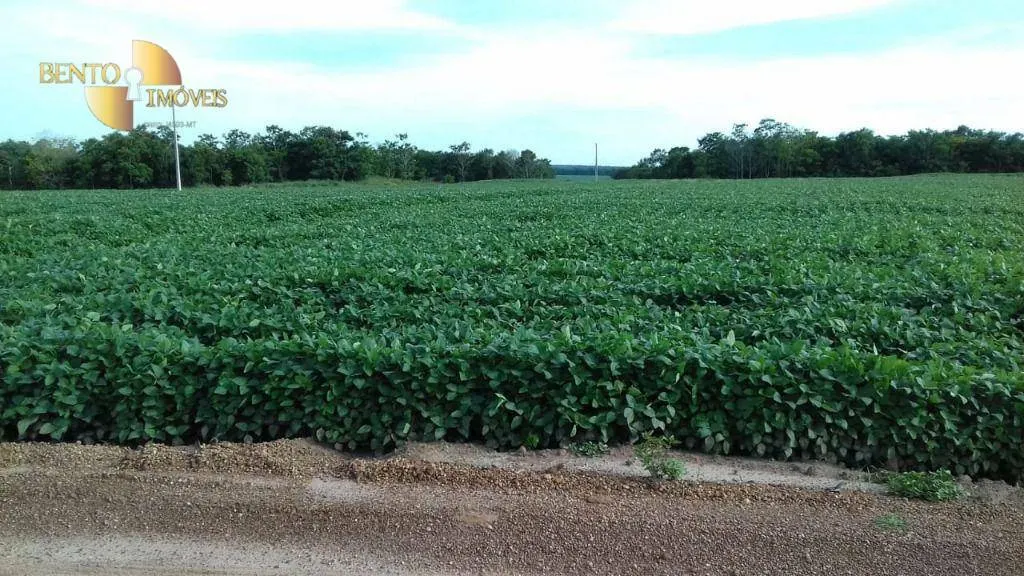 Fazenda à venda de 2.040 ha em Ribeirão Cascalheira, MT, Brasil