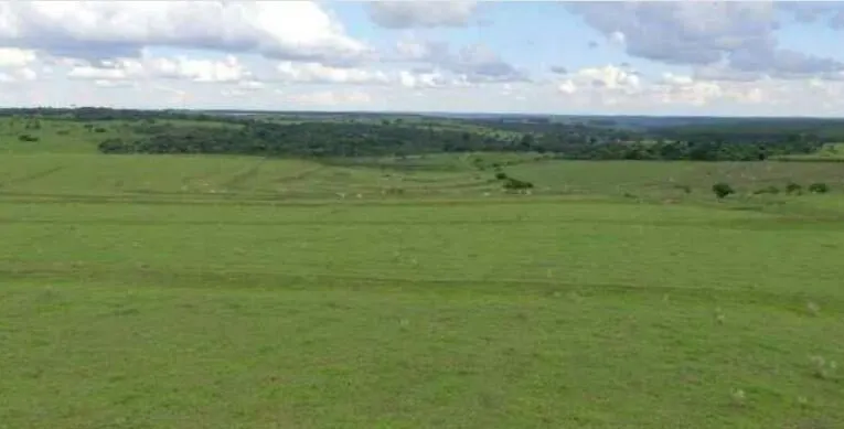 Fazenda à venda de 726 ha em Bauru, SP, Brasil