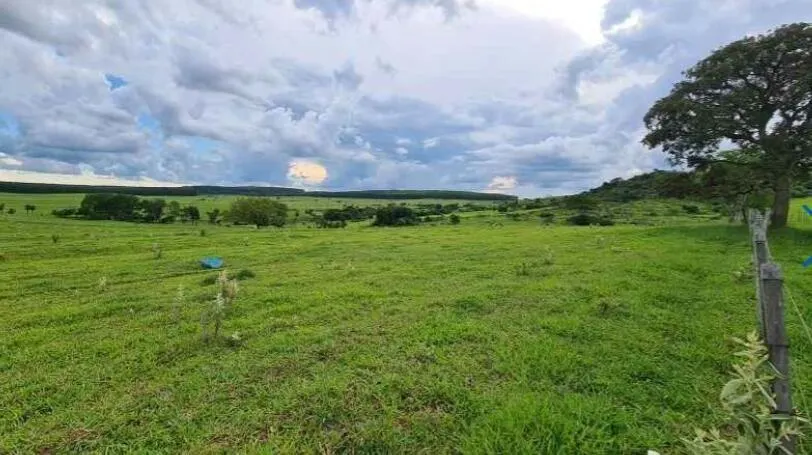 Fazenda à venda de 726 ha em Bauru, SP, Brasil