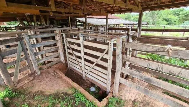 Fazenda à venda de 726 ha em Bauru, SP, Brasil