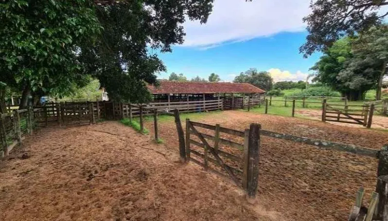 Fazenda à venda de 726 ha em Bauru, SP, Brasil