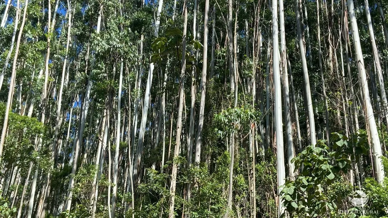 Fazenda à venda de 169 ha em Paraibuna, SP, Brasil