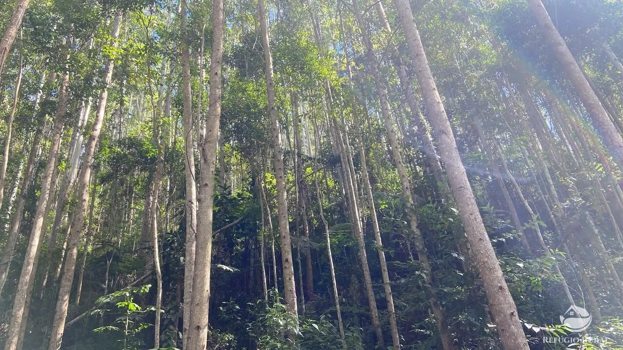 Fazenda à venda de 169 ha em Paraibuna, SP, Brasil