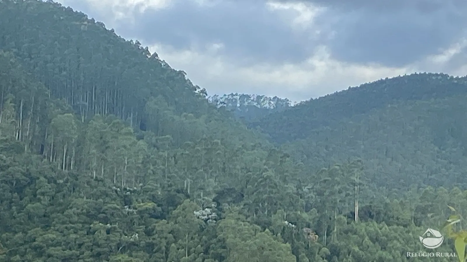 Fazenda à venda de 169 ha em Paraibuna, SP, Brasil