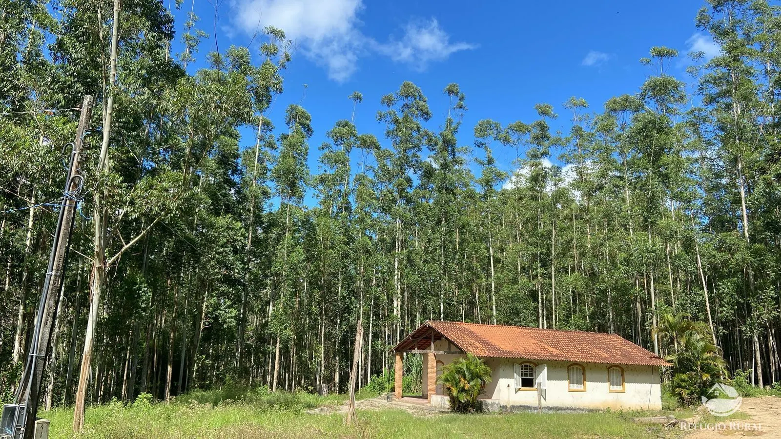 Fazenda à venda de 169 ha em Paraibuna, SP, Brasil