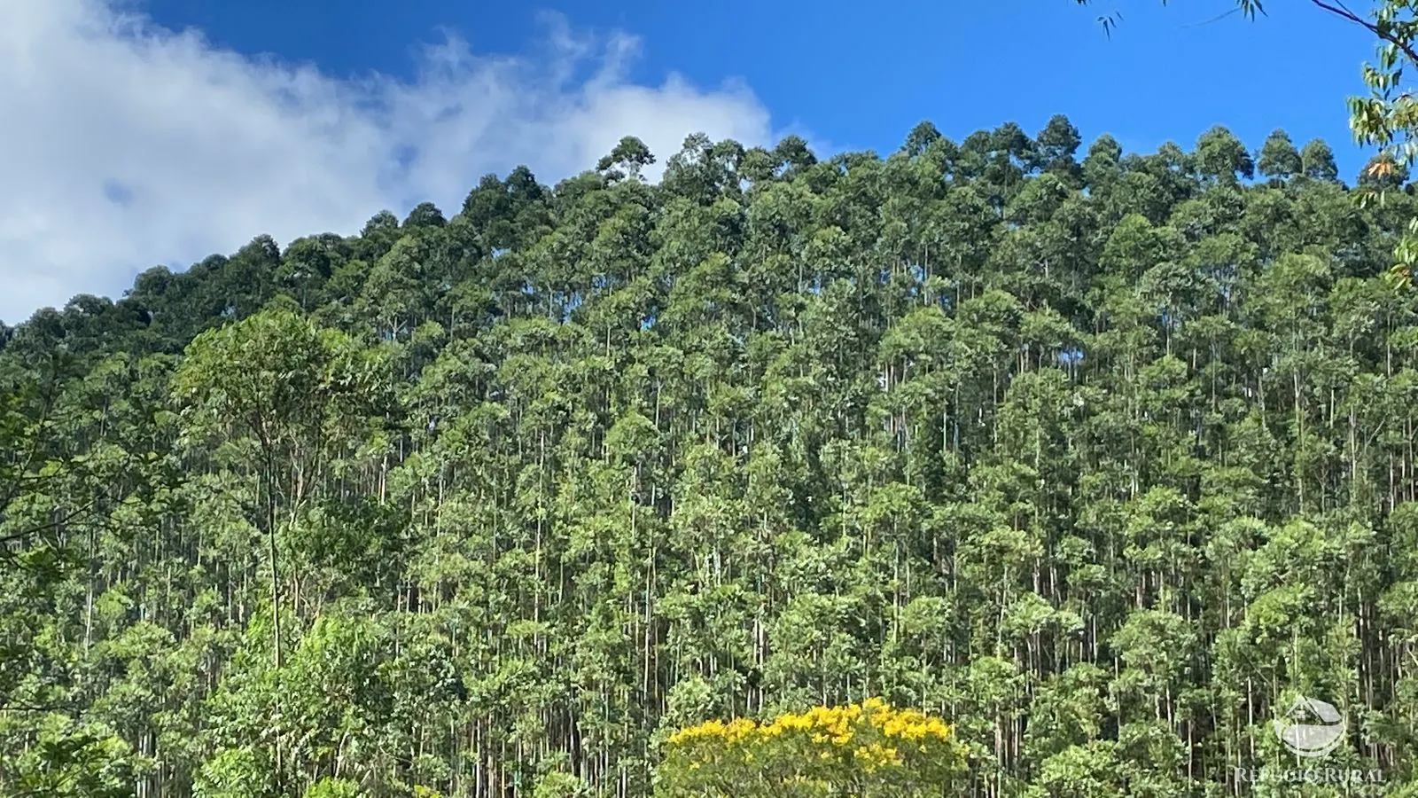 Fazenda à venda de 169 ha em Paraibuna, SP, Brasil