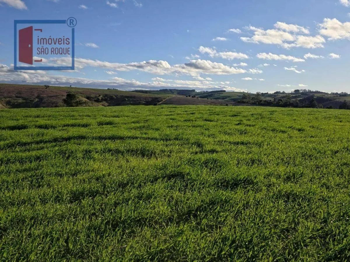 Fazenda à venda de 116 ha em Itapetininga, SP, Brasil