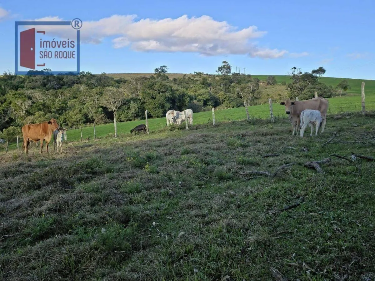 Fazenda à venda de 116 ha em Itapetininga, SP, Brasil