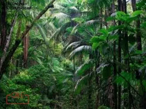 Fazenda à venda de 1.000 ha em Cananéia, SP, Brasil