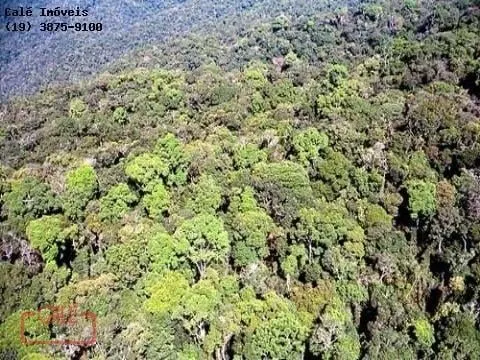 Fazenda à venda de 1.000 ha em Cananéia, SP, Brasil