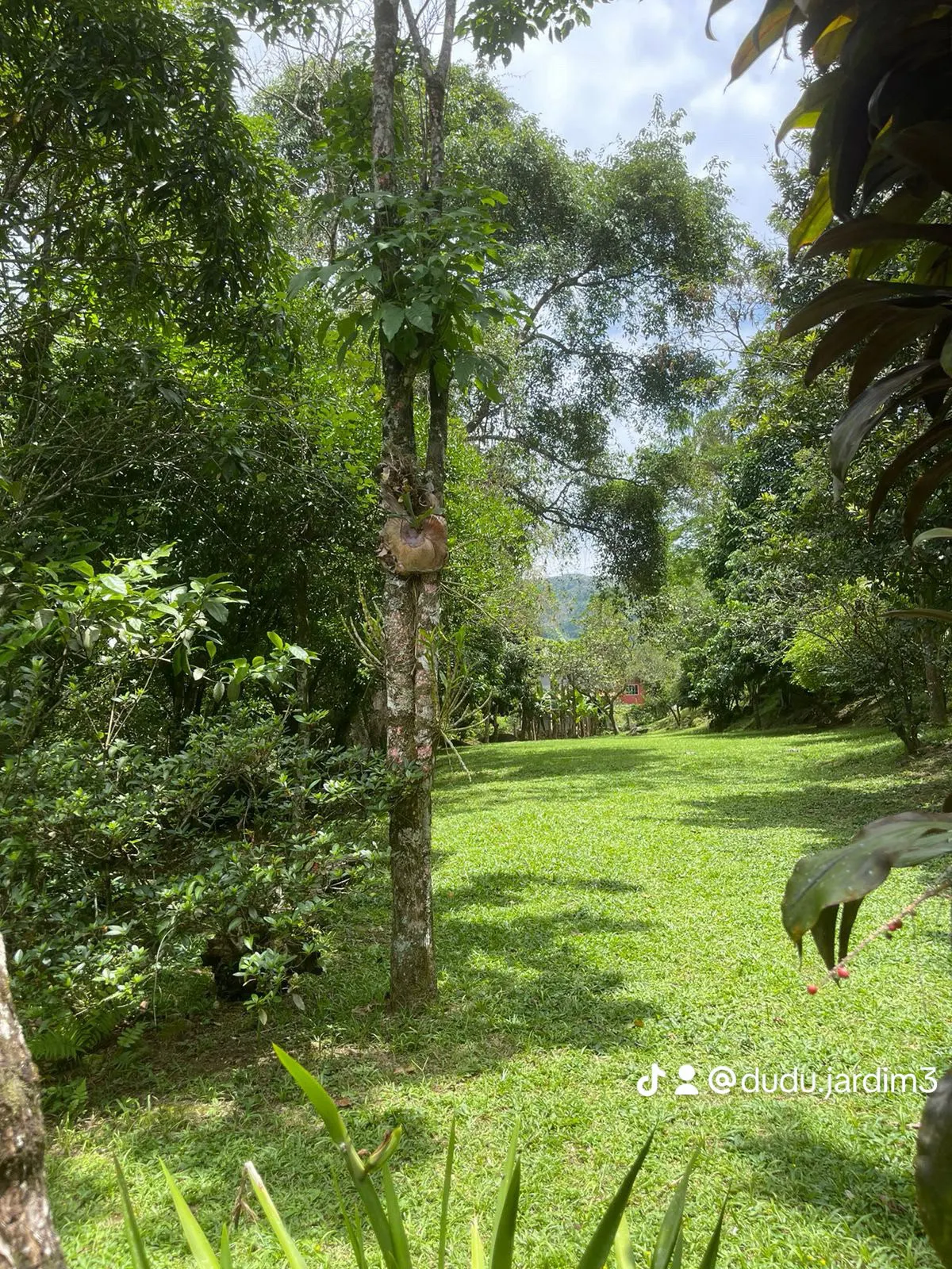 Small farm for sale of 4,000 m² in Macaé, RJ, Brazil