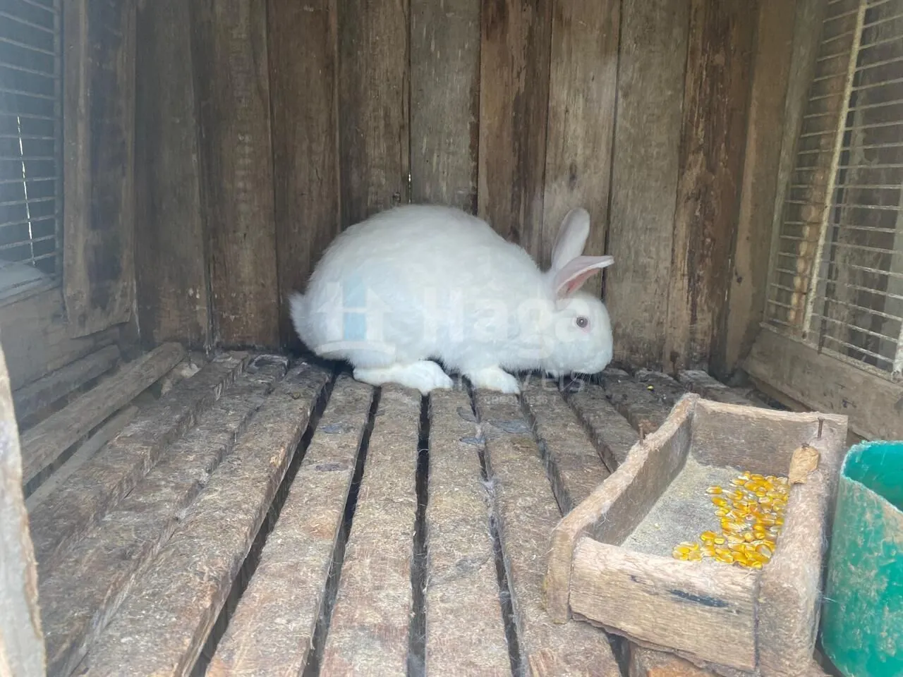 Chácara à venda de 2.600 m² em Major Gercino, SC, Brasil