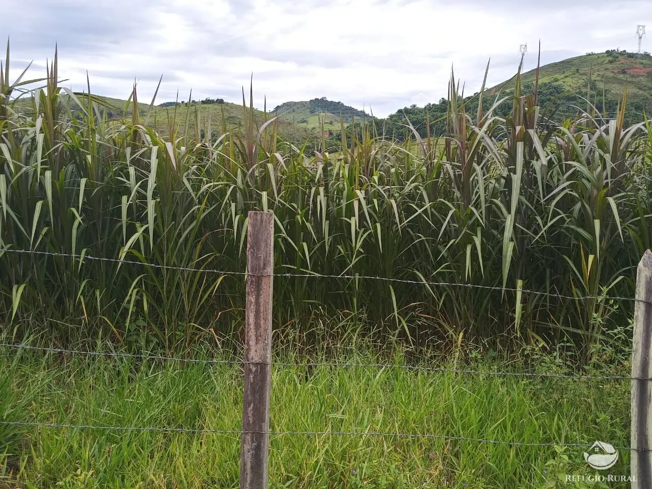 Fazenda à venda de 37 ha em Resende, RJ, Brasil