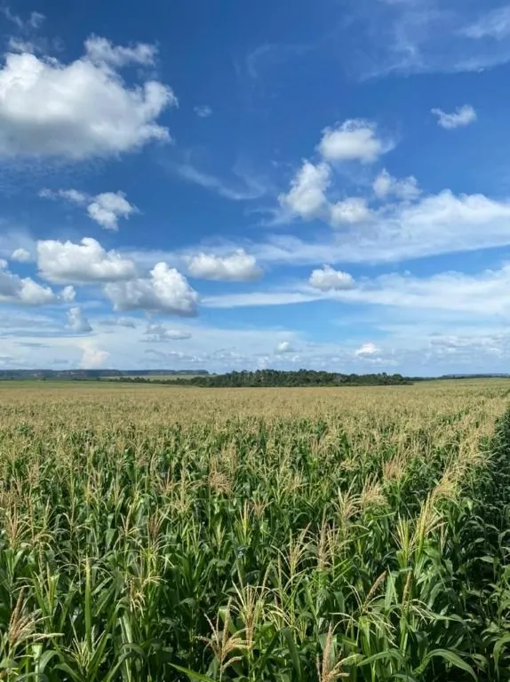 Fazenda à venda de 5.000 ha em São Luís, MA, Brasil