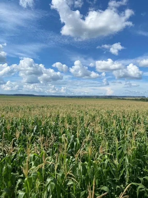 Fazenda à venda de 5.000 ha em São Luís, MA, Brasil