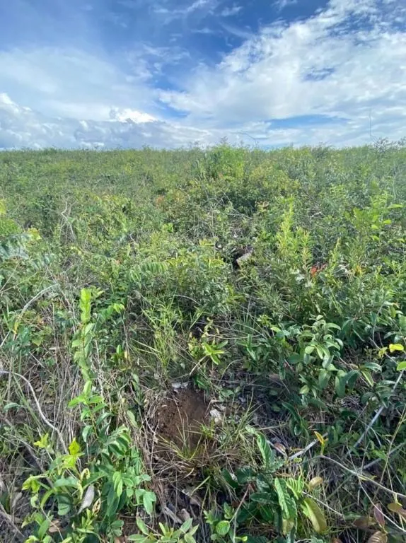 Fazenda à venda de 5.000 ha em São Luís, MA, Brasil