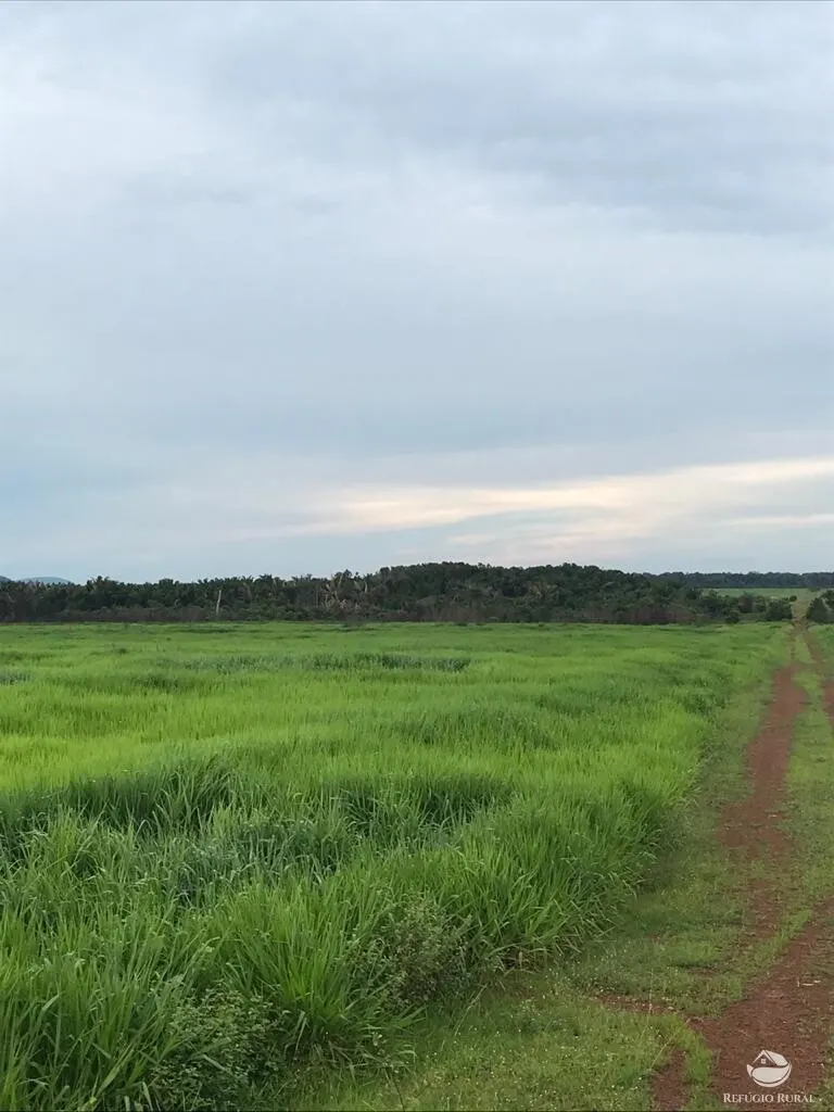 Fazenda à venda de 20.303 ha em Santa Terezinha, MT, Brasil