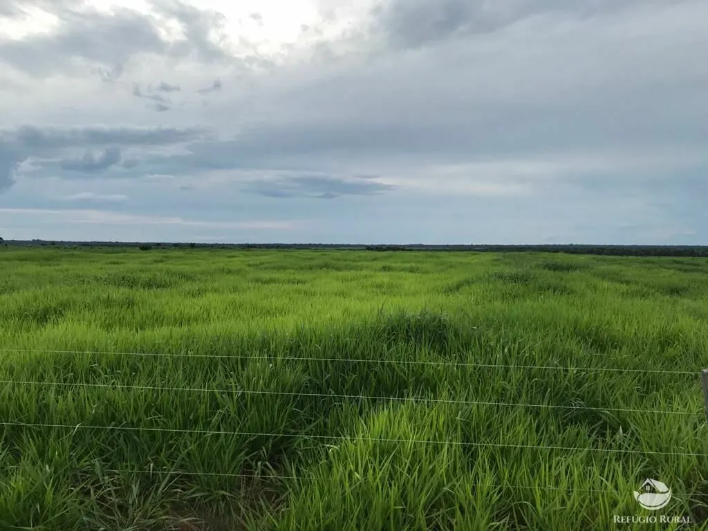 Fazenda à venda de 20.303 ha em Santa Terezinha, MT, Brasil