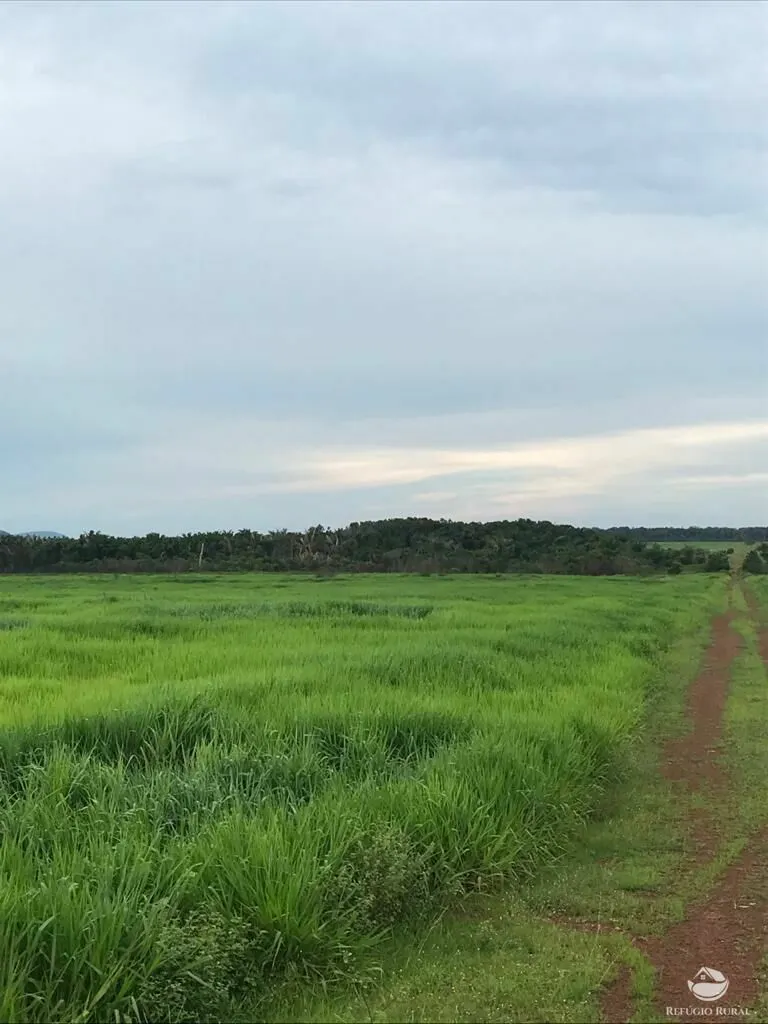 Fazenda à venda de 20.303 ha em Santa Terezinha, MT, Brasil