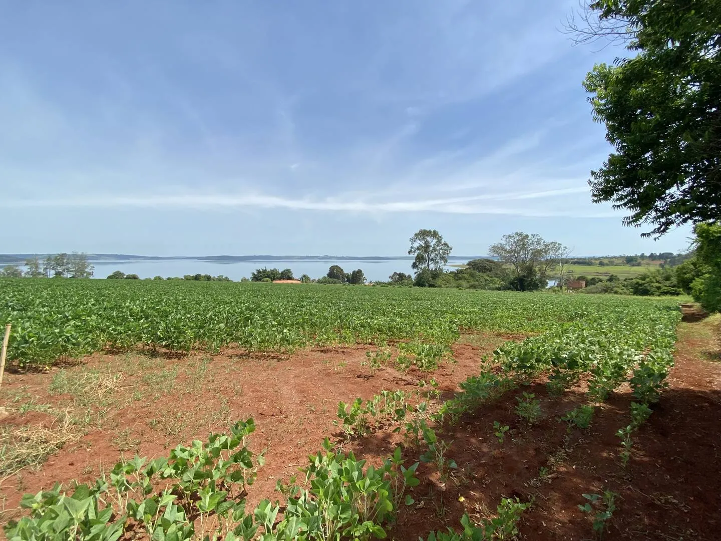 Terreno à venda de 4 ha em Piraju, SP, Brasil