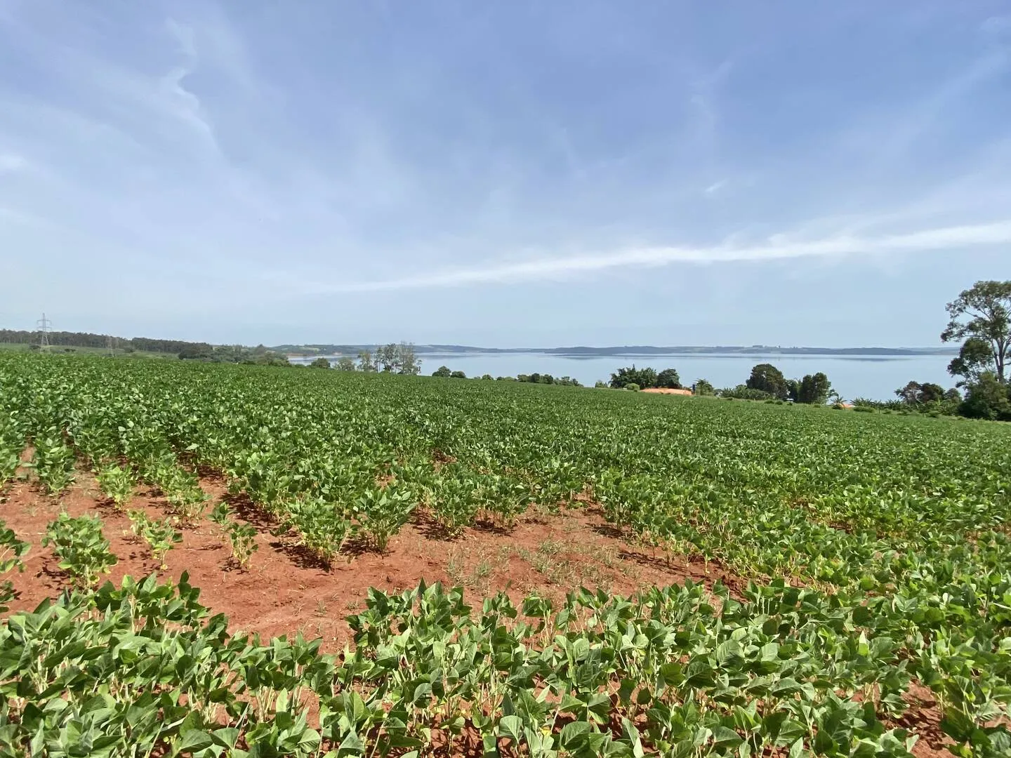 Terreno à venda de 4 ha em Piraju, SP, Brasil