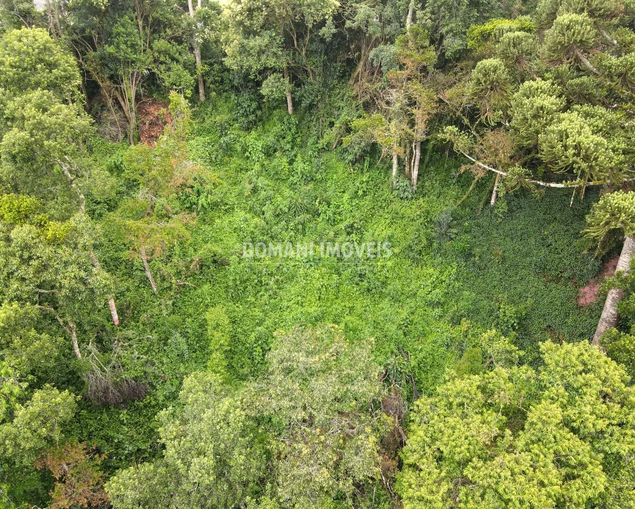 Plot for sale of 1,480 m² in Campos do Jordão, SP, Brazil