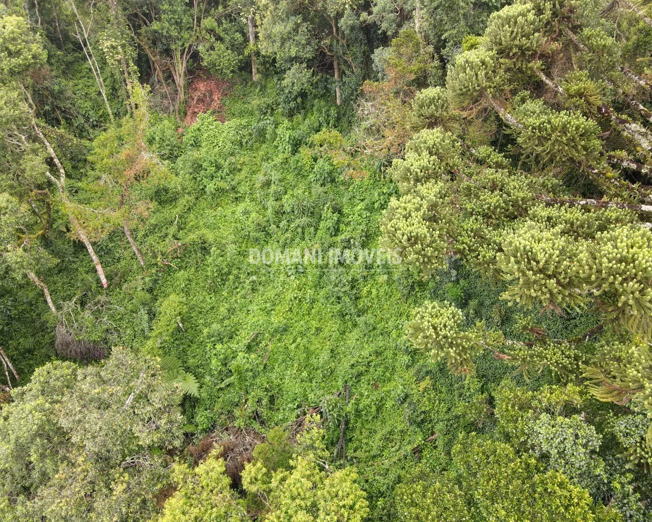 Plot for sale of 1,480 m² in Campos do Jordão, SP, Brazil