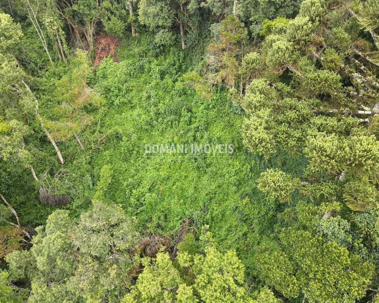 Plot for sale of 1,480 m² in Campos do Jordão, SP, Brazil