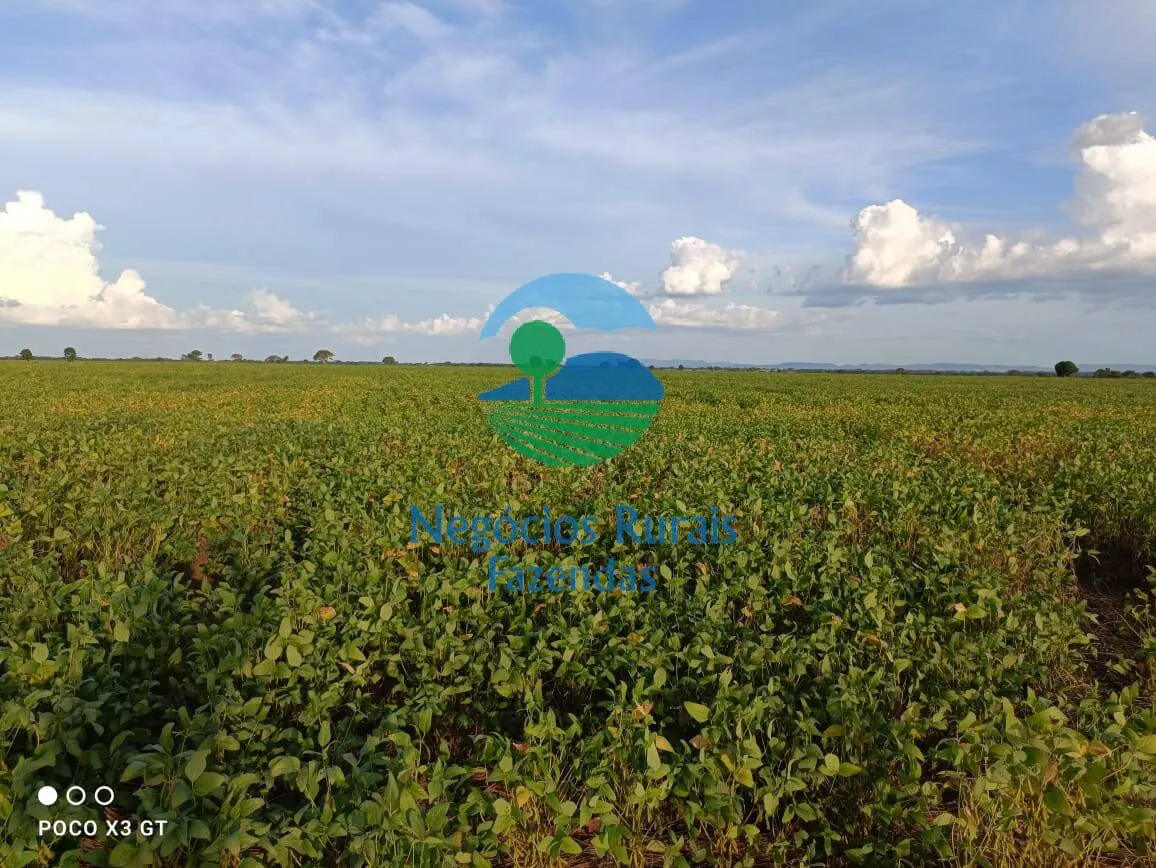 Fazenda à venda de 726 ha em Novo Planalto, GO, Brasil