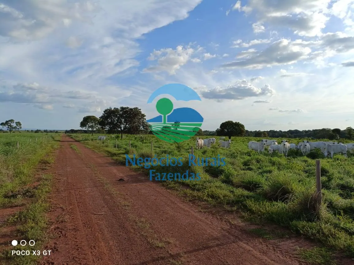 Fazenda à venda de 726 ha em Novo Planalto, GO, Brasil