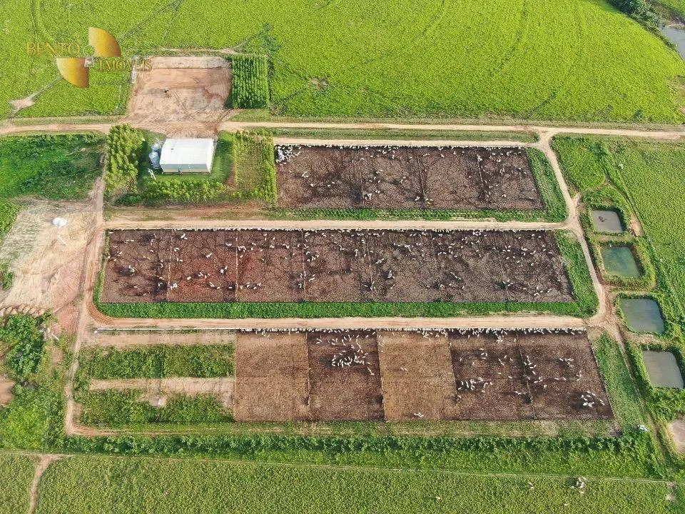 Fazenda à venda de 5.200 ha em Vilhena, RO, Brasil
